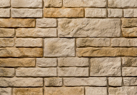 Piatra Decorativă Salvador 1 Gips (0.41mp), Stegu www.olivy.ro