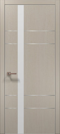 Ușă interior PL 10 – Design modern cu inserție aluminiu și sticlă satinată / Plato - Carlo Porte www.olivy.ro