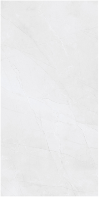GRESIE LAGOS BIANCO CARVIN 60X120