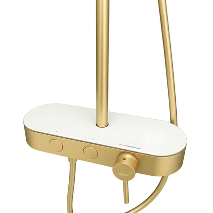 Set duș 2 funcții – finisaj auriu periat, design modern din oțel inoxidabil