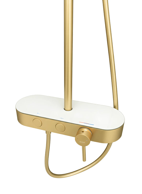 Set duș 2 funcții – finisaj auriu periat, design modern din oțel inoxidabil