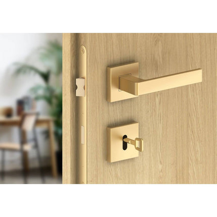 Manere usi ERGO auriu mat cu rozeta cheie