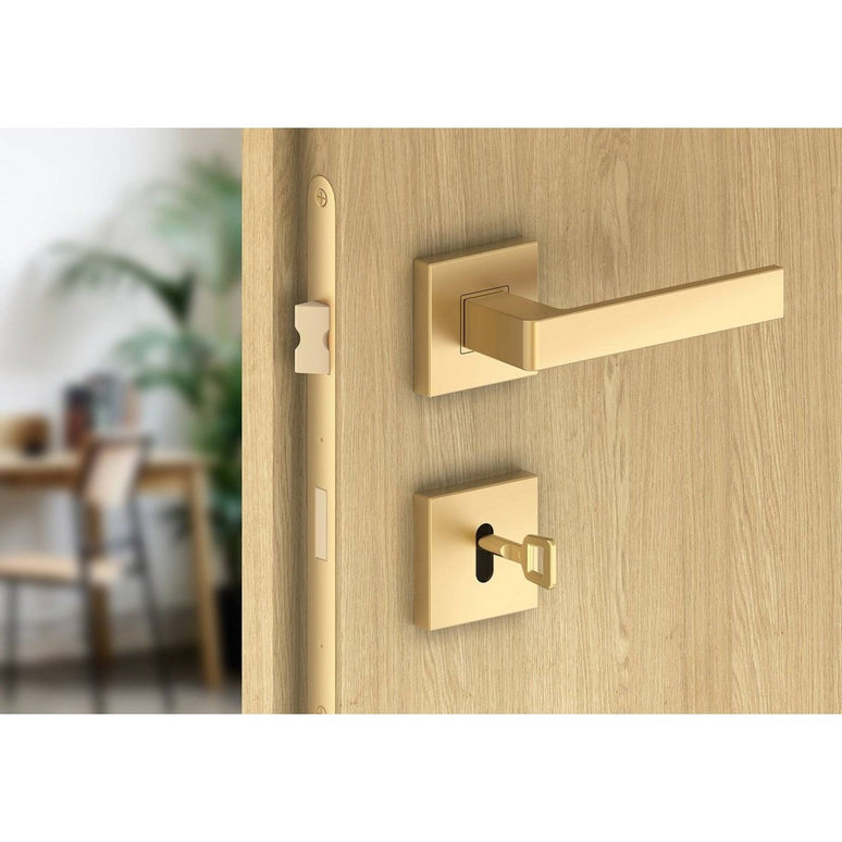 Manere usi ERGO auriu mat cu rozeta cheie