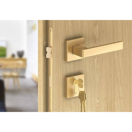 Manere usi ERGO auriu mat cu rozeta yala