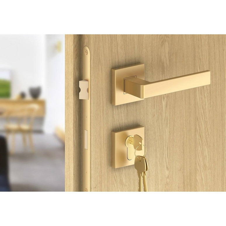 Manere usi ERGO auriu mat cu rozeta yala