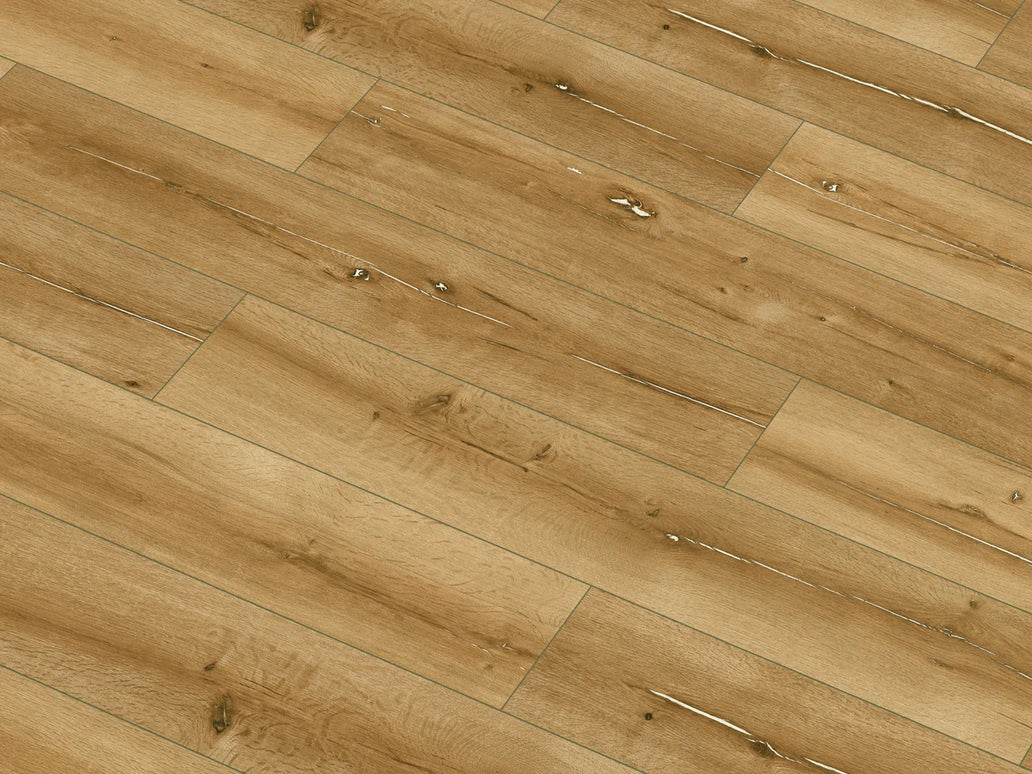 Parchet Laminat Sydney Oak 62429