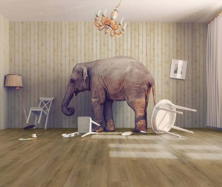 Parchet laminat Stejar Summer Superior Evolution D3901 12/32, Kronotex www.CasaDeco.ro