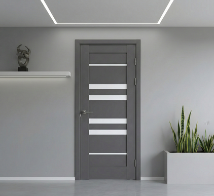 Ușă interior Rino 06 Graphite Silk Mat