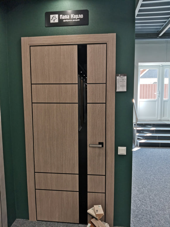 Ușă interior PL 10 – Design modern cu inserție aluminiu și sticlă satinată / Plato - Carlo Porte www.olivy.ro
