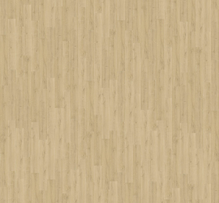 Parchet laminat Quick Step Capture 9 mm 4763 Stejar periat, nuanta naturala