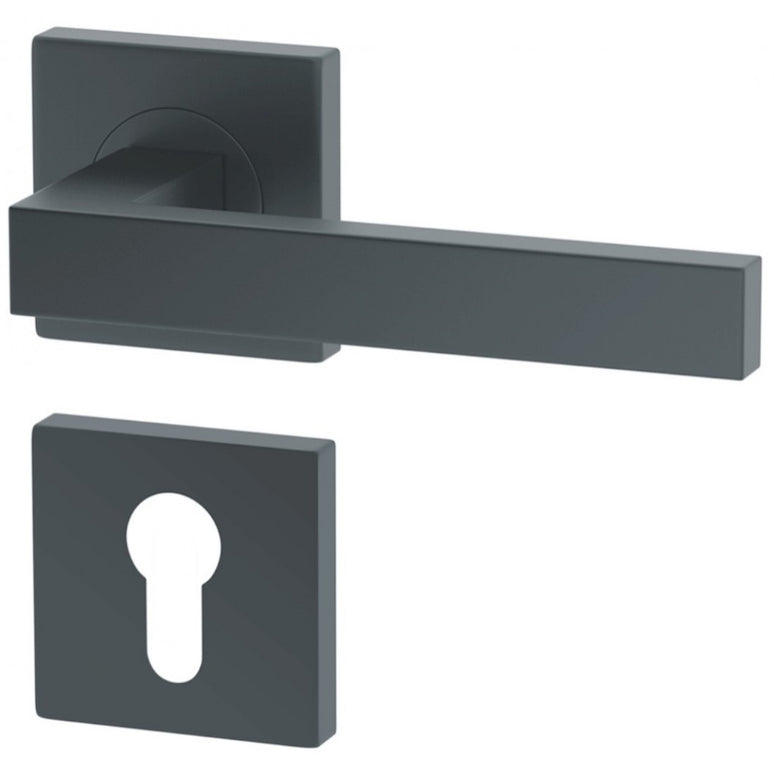 Manere usi Ergo GRAFIT cu rozeta yala