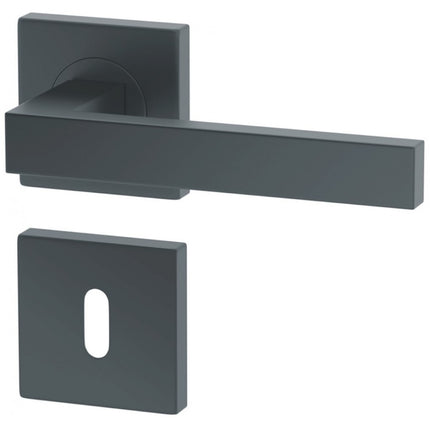 Manere usi Ergo GRAFIT cu rozeta cheie