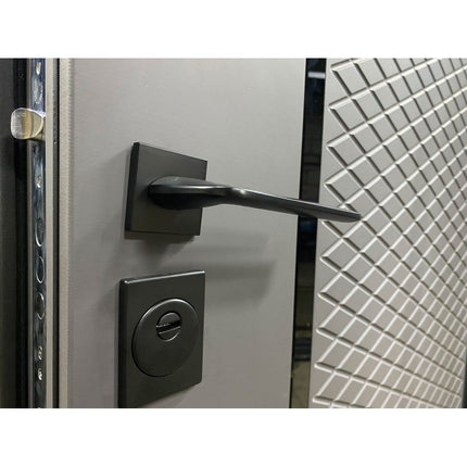 Usa intrare milano (soft touch gri /alb mat interior)