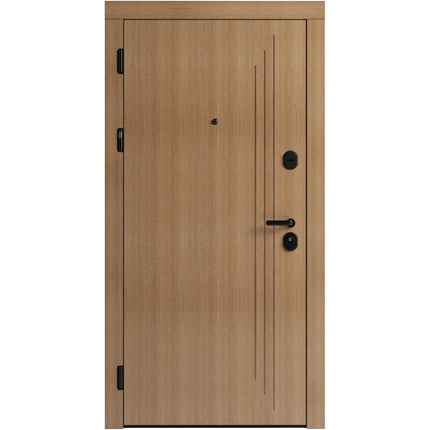 Ușă de intrare pentru stradă F103-1