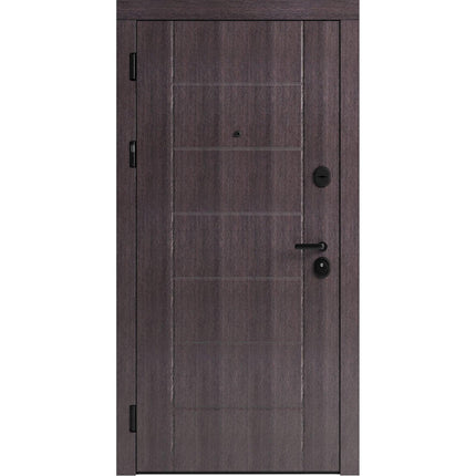 Ușă de intrare pentru stradă F106-1
