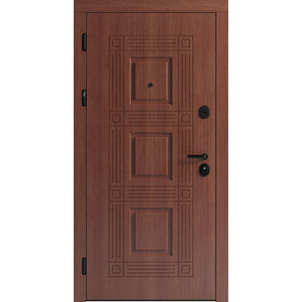 Ușă de intrare pentru stradă F117-2