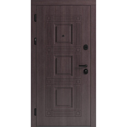 Ușă de intrare pentru stradă F117-3