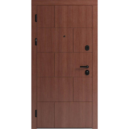 Ușă de intrare pentru stradă F118-3