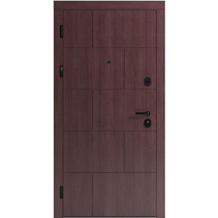 Ușă de intrare pentru stradă F118-6